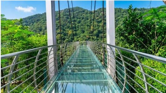 Glass Bridge, Rajgir